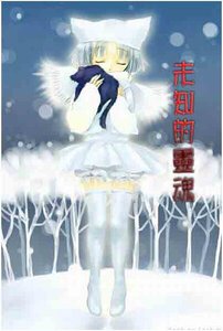未知的靈魂